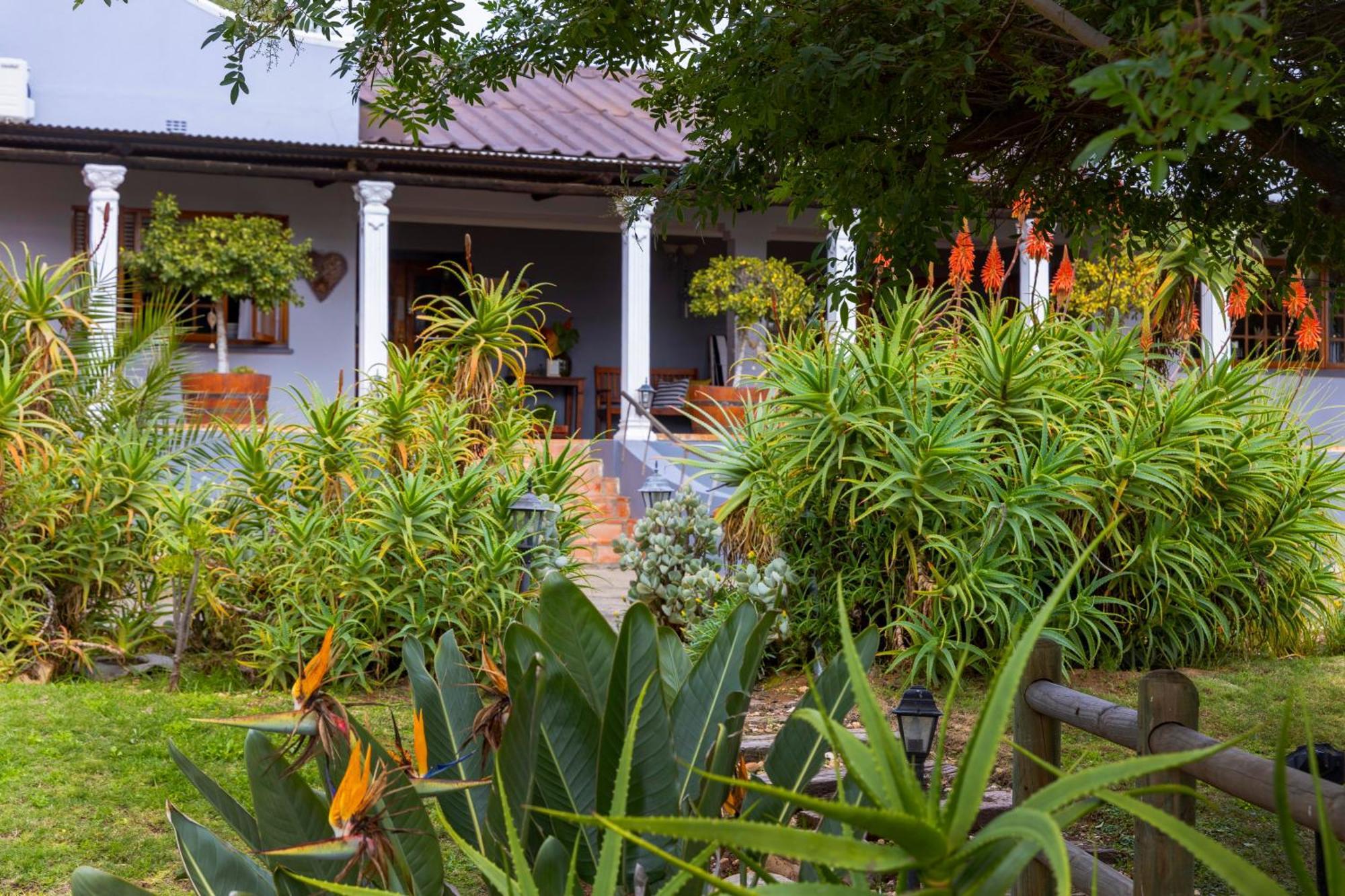 Thylitshia Villa Country Guest House Oudtshoorn Kültér fotó