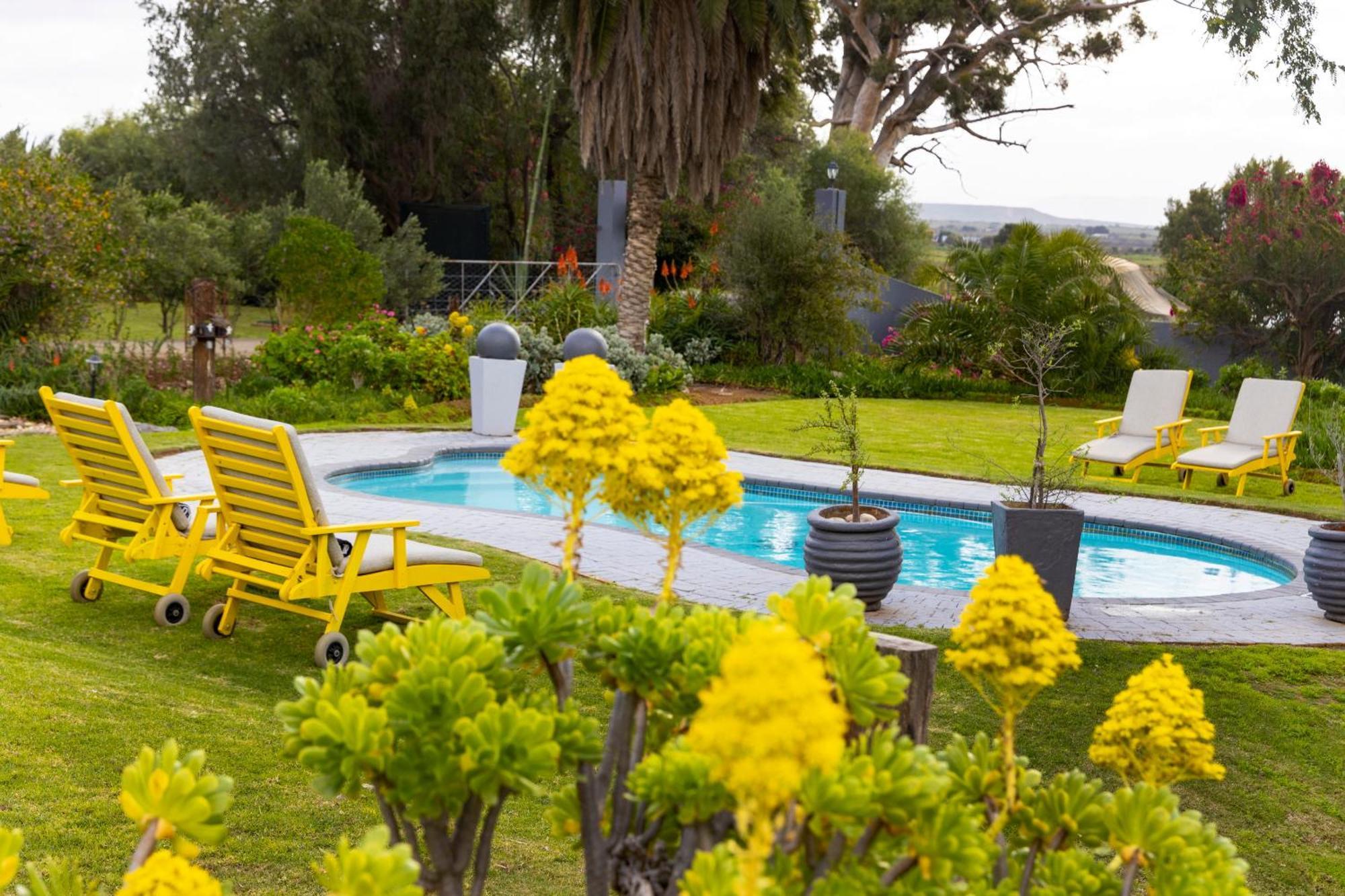 Thylitshia Villa Country Guest House Oudtshoorn Kültér fotó