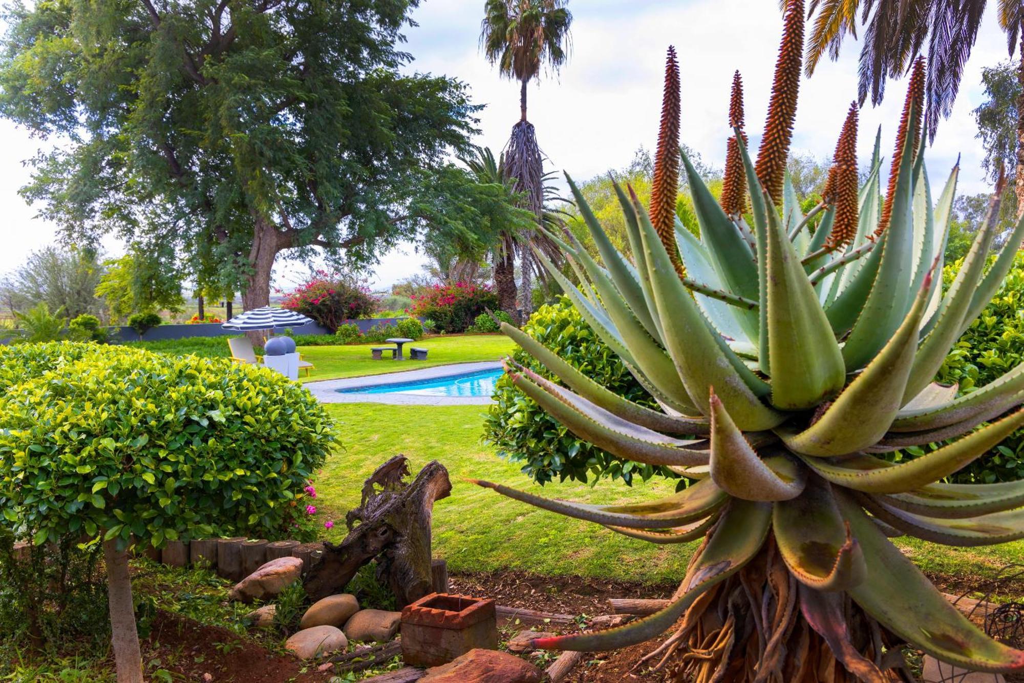 Thylitshia Villa Country Guest House Oudtshoorn Kültér fotó