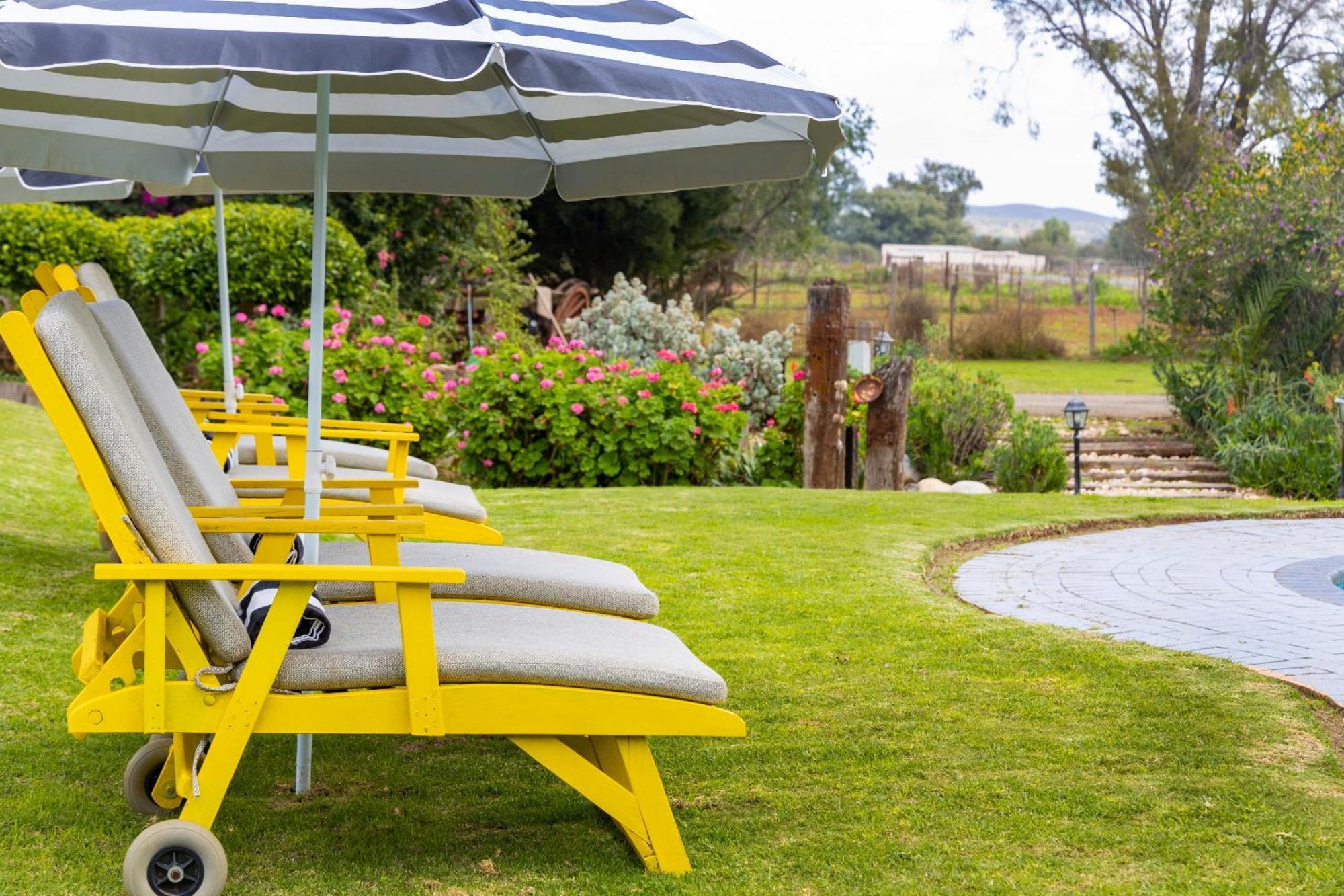 Thylitshia Villa Country Guest House Oudtshoorn Kültér fotó