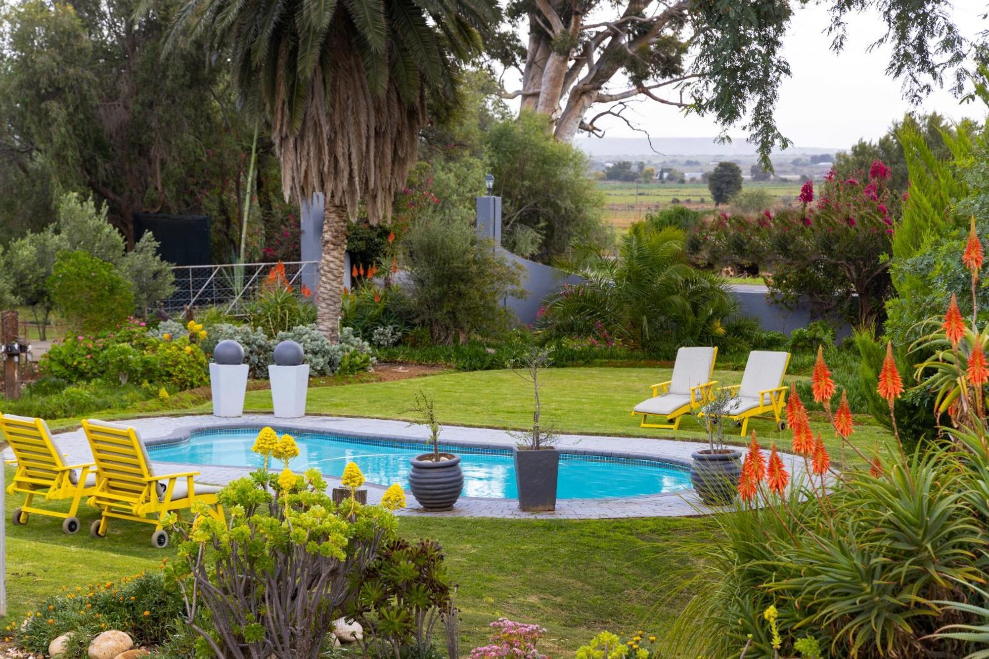Thylitshia Villa Country Guest House Oudtshoorn Kültér fotó