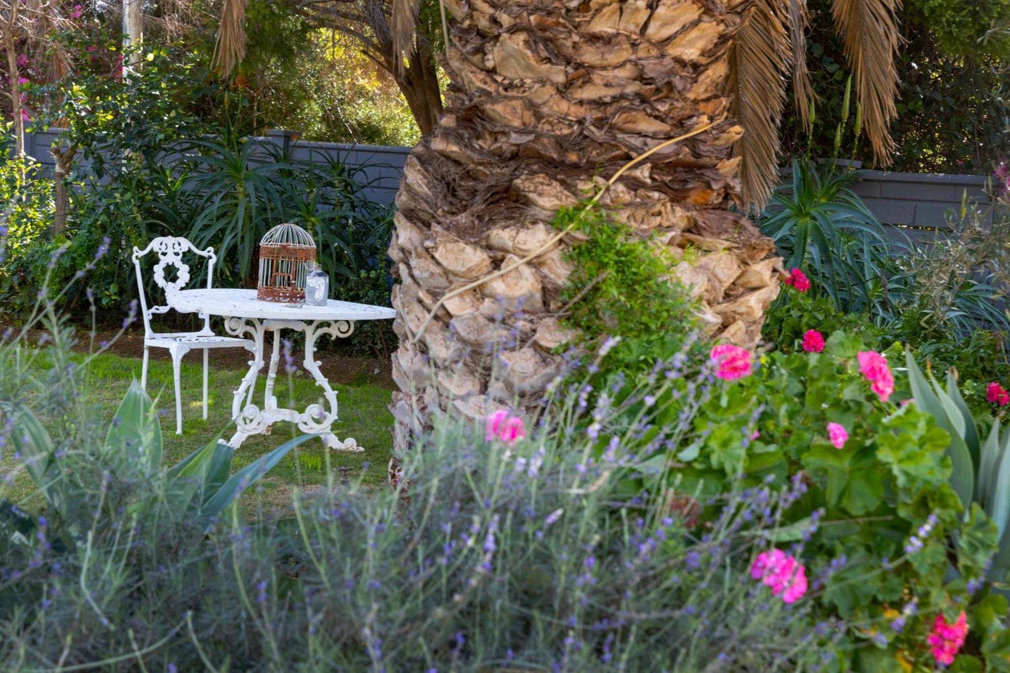 Thylitshia Villa Country Guest House Oudtshoorn Kültér fotó
