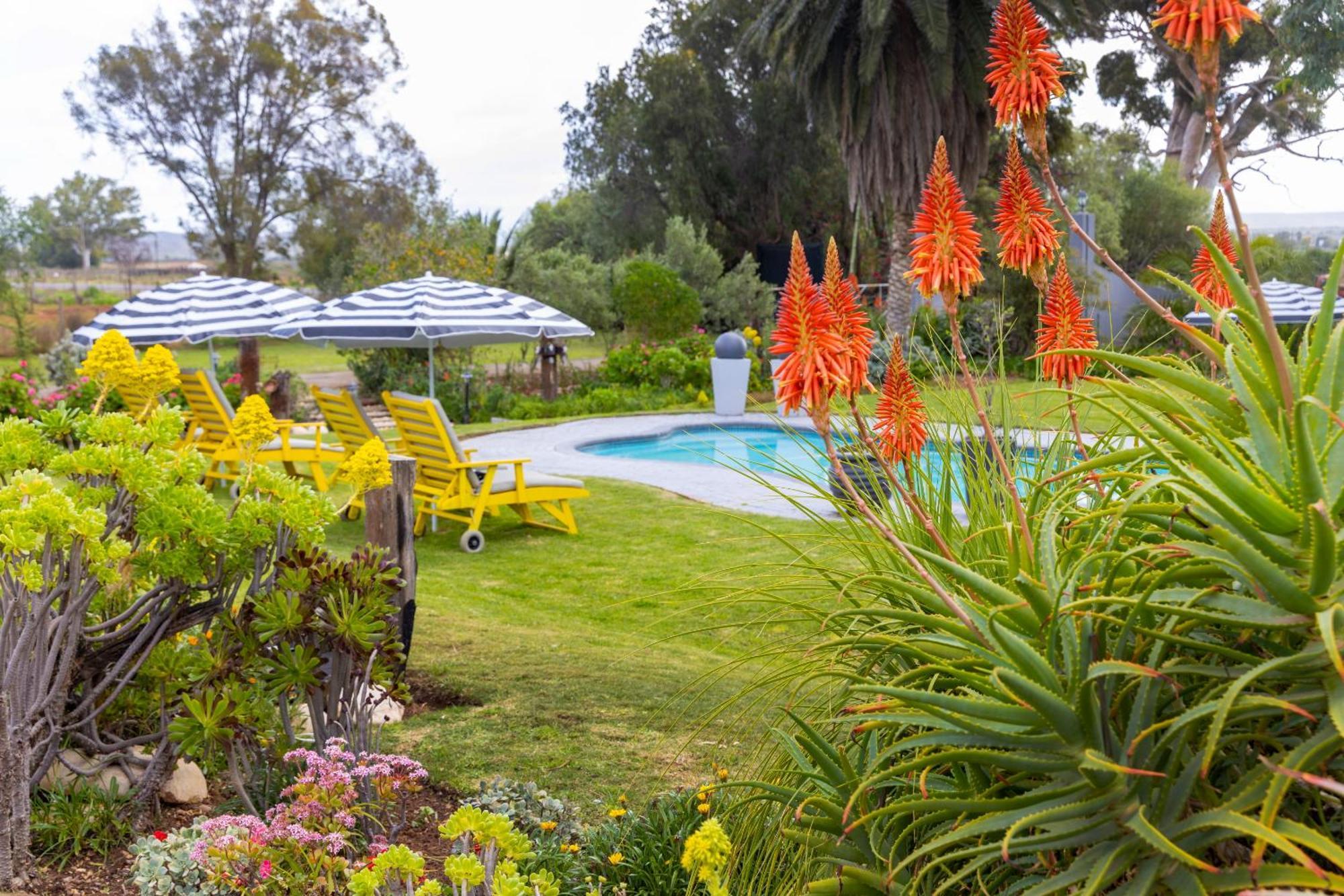 Thylitshia Villa Country Guest House Oudtshoorn Kültér fotó