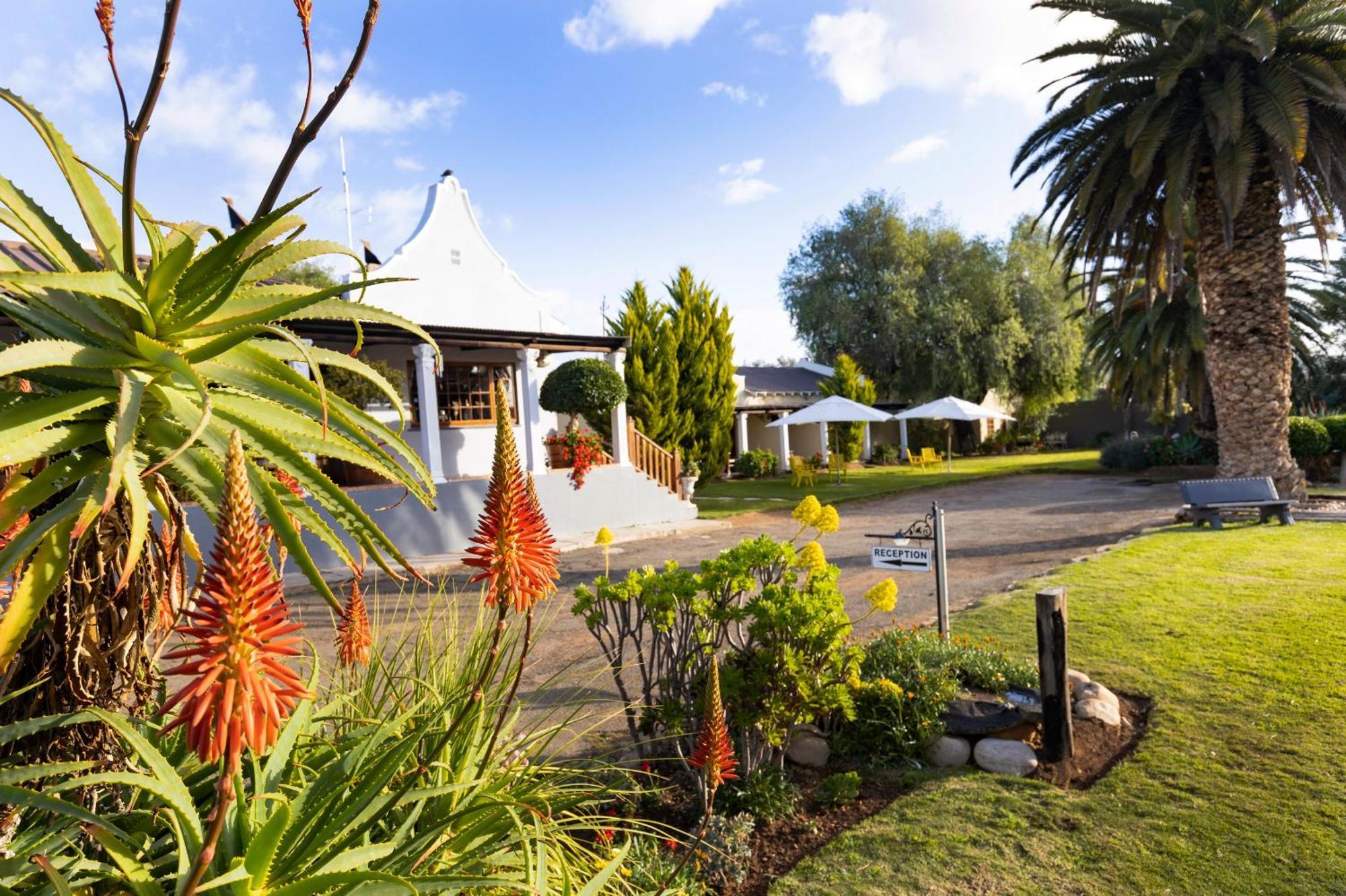 Thylitshia Villa Country Guest House Oudtshoorn Kültér fotó