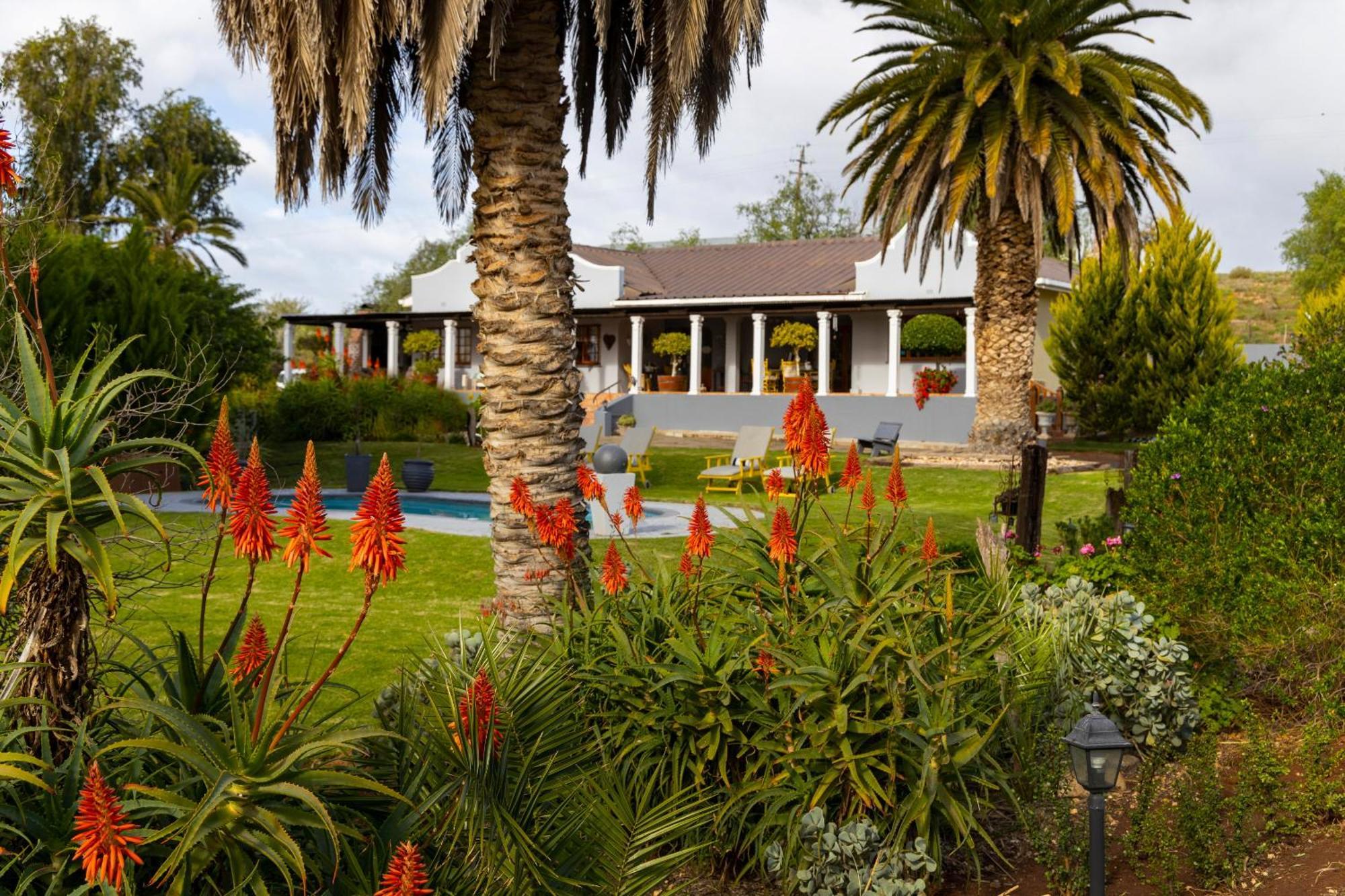 Thylitshia Villa Country Guest House Oudtshoorn Kültér fotó