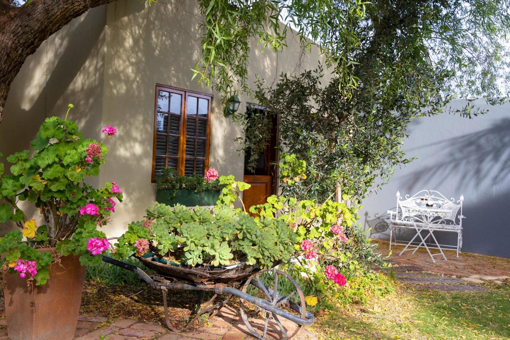 Thylitshia Villa Country Guest House Oudtshoorn Kültér fotó