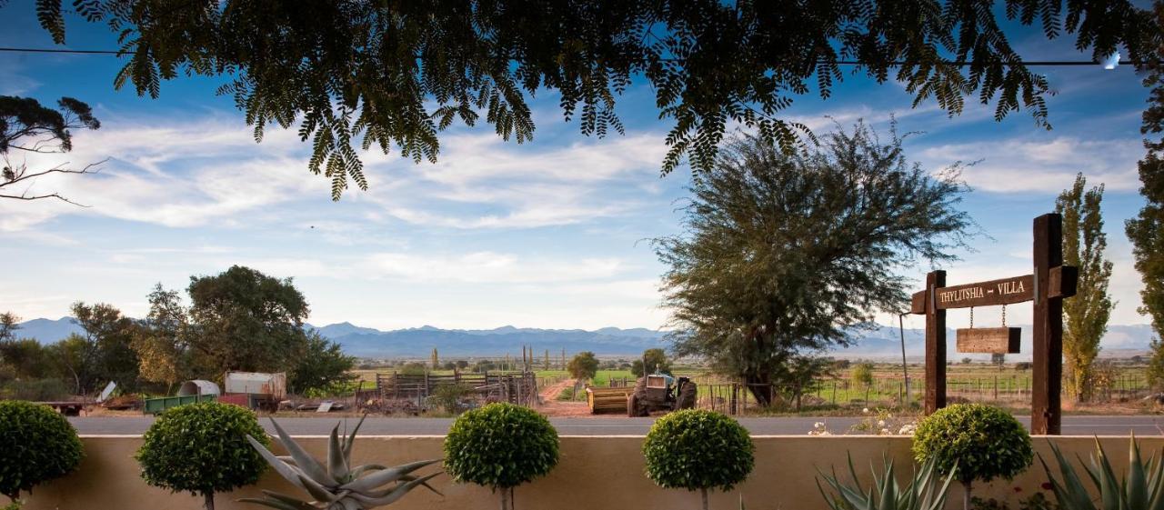 Thylitshia Villa Country Guest House Oudtshoorn Kültér fotó
